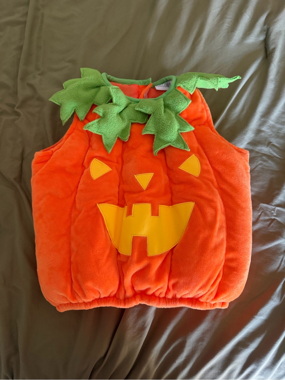 12m Pumpkin Costume with Green Leaf Collar